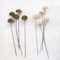 Hello Honey® 23.5" Dried Natural Sesame Flower Stems, 5ct.